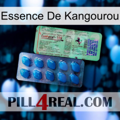 Kangaroo Essence new02